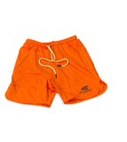 AIE Classic Essentials Track Shorts